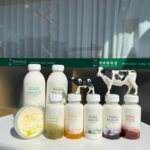 요거트세트 2.2L(요구르트 500ml*2개+요구르트 210ml*5개+그릭요거트 150g)