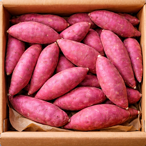 특상 세척 황토 꿀고구마 5kg