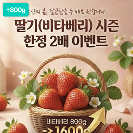 [이벤트] 논산 딸기 비타베리 1.6kg(0.8kg+0.8kg)  *150개 한정
