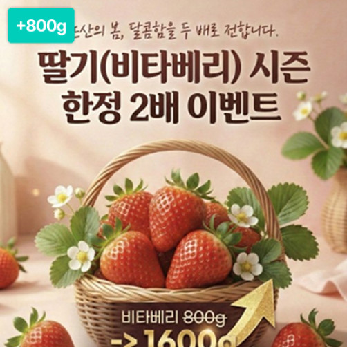 [이벤트] 논산 딸기 비타베리 1.6kg(0.8kg+0.8kg)  *150개 한정