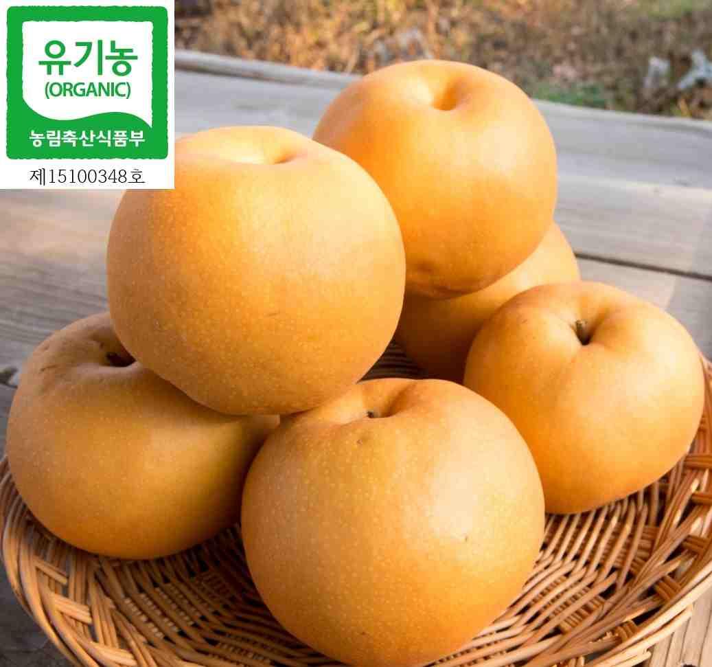 유기농 한반도 배 3kg(5-7과 내외)