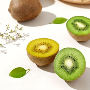 보성 그린키위 특대 3kg(23-27과)