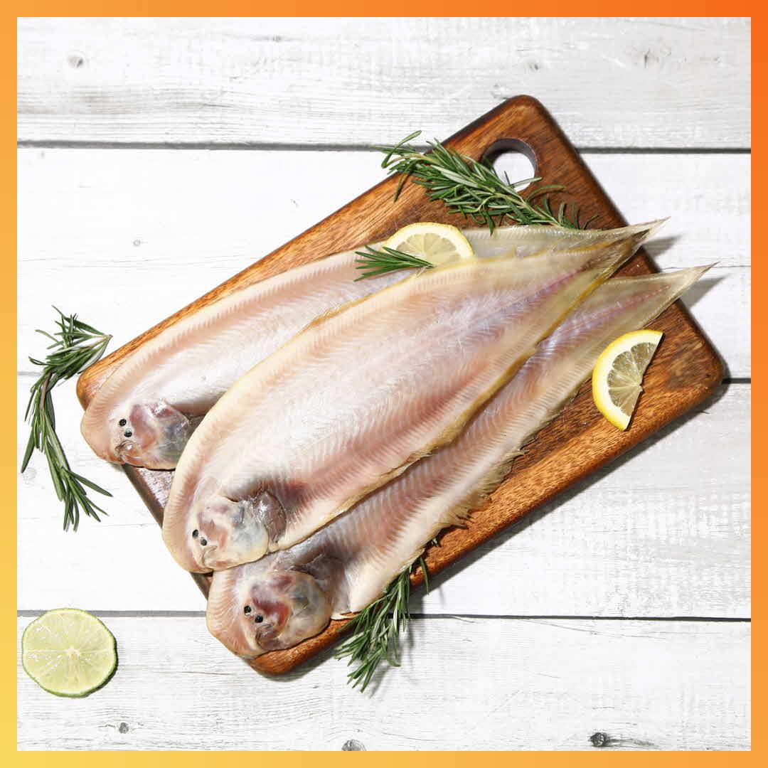 군산수협 반건조 박대 5호 540g(90g 이상*6미)