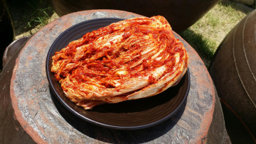 직접 재배한 단감을 채썰어 만든 단감채김치 5kg