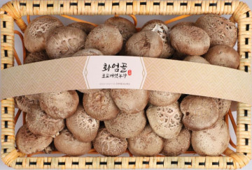 화엄골 표고버섯 2kg